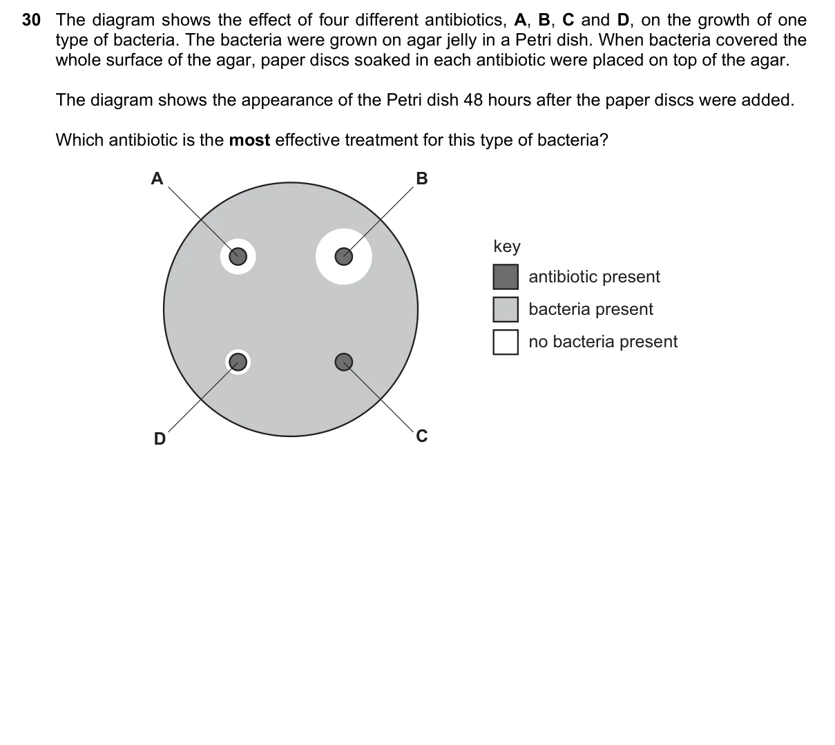 Question 30, June 2022, 0610 Paper 13