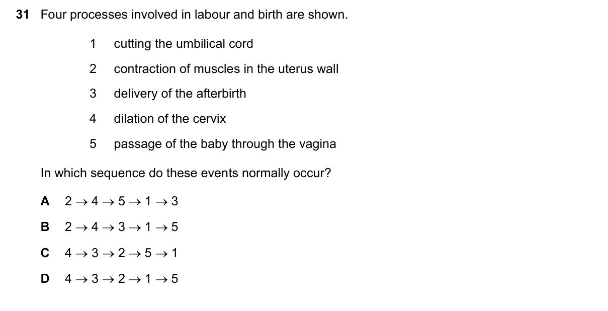 Question 31, June 2022, 0610 Paper 13