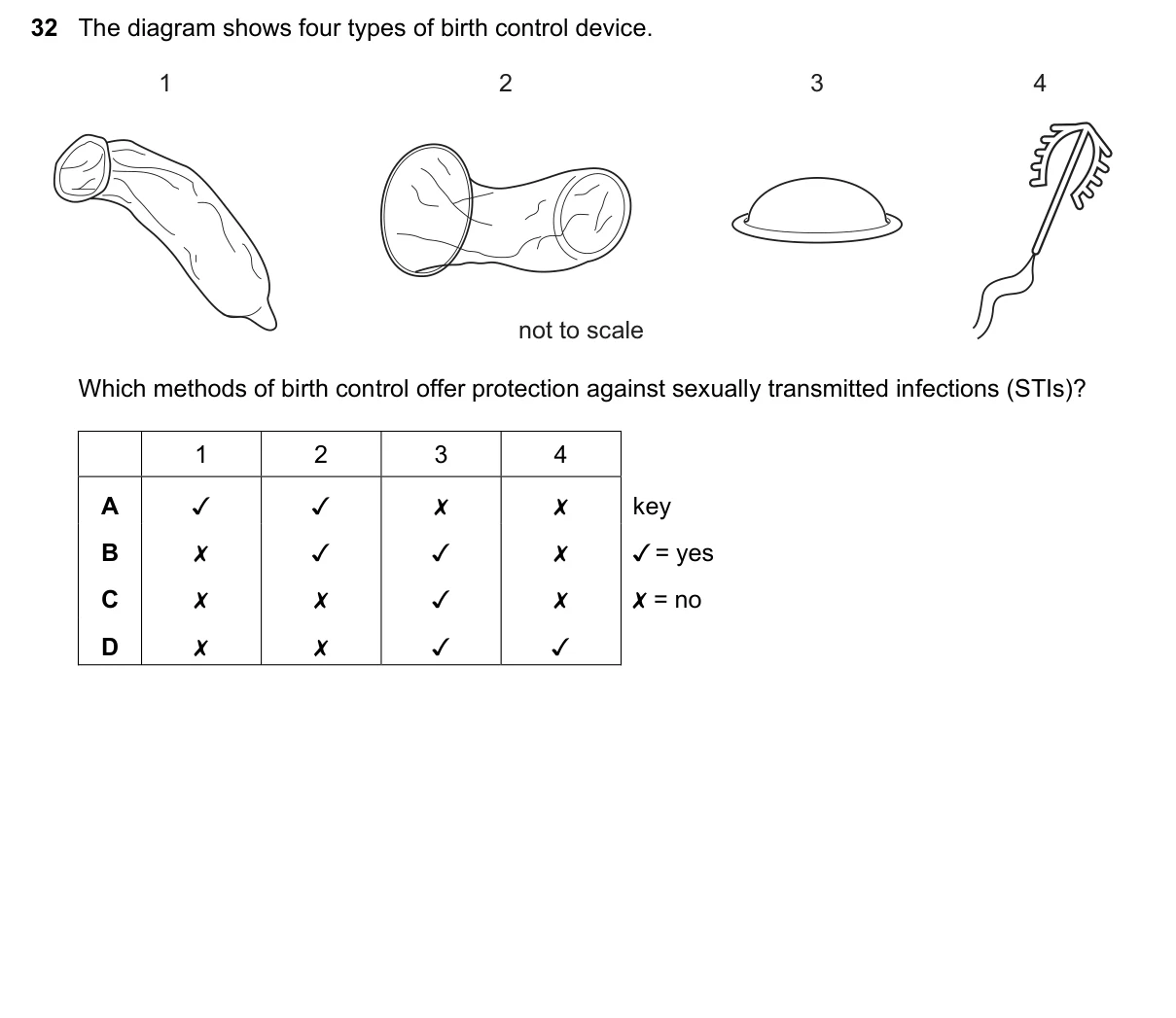Question 32, June 2022, 0610 Paper 13