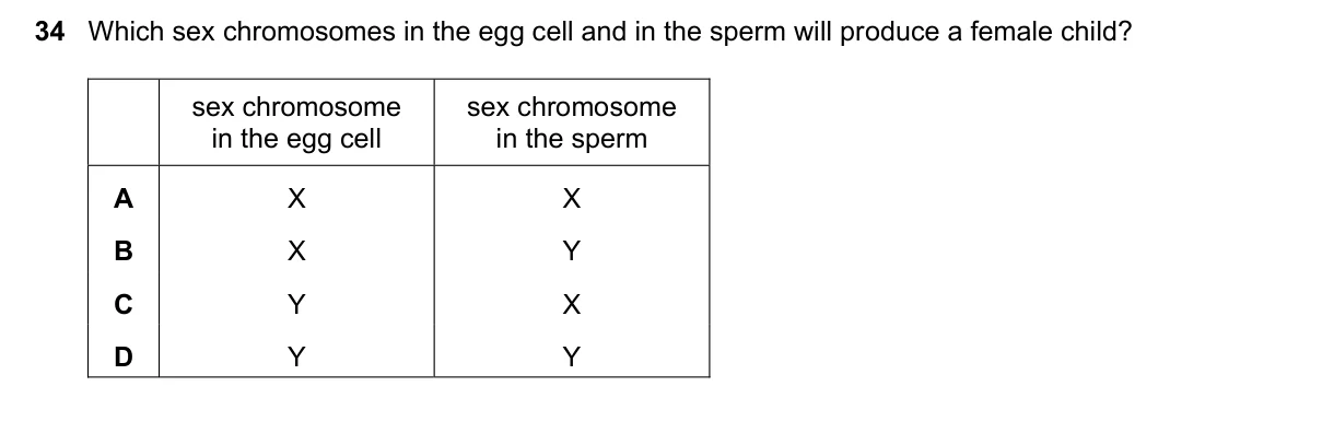 Question 34, June 2022, 0610 Paper 13