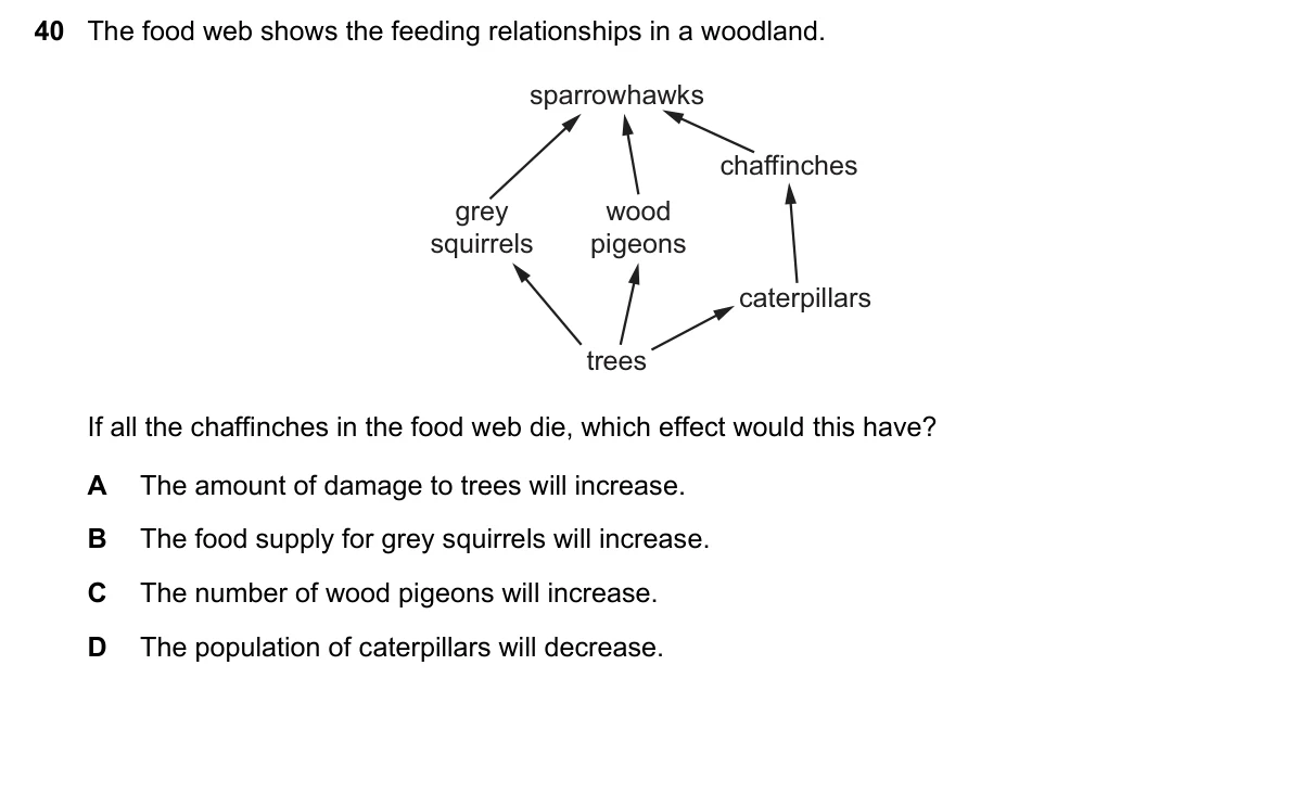 Question 40, June 2022, 0610 Paper 13