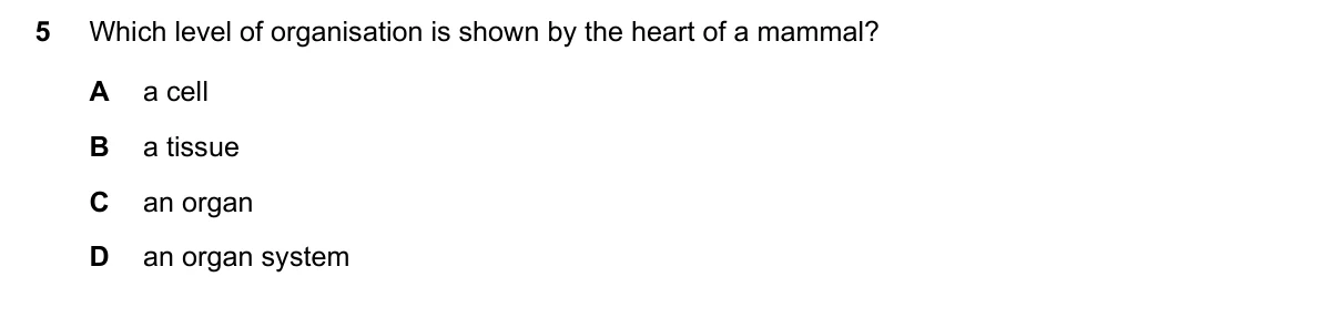 Question 5, June 2022, 0610 Paper 13