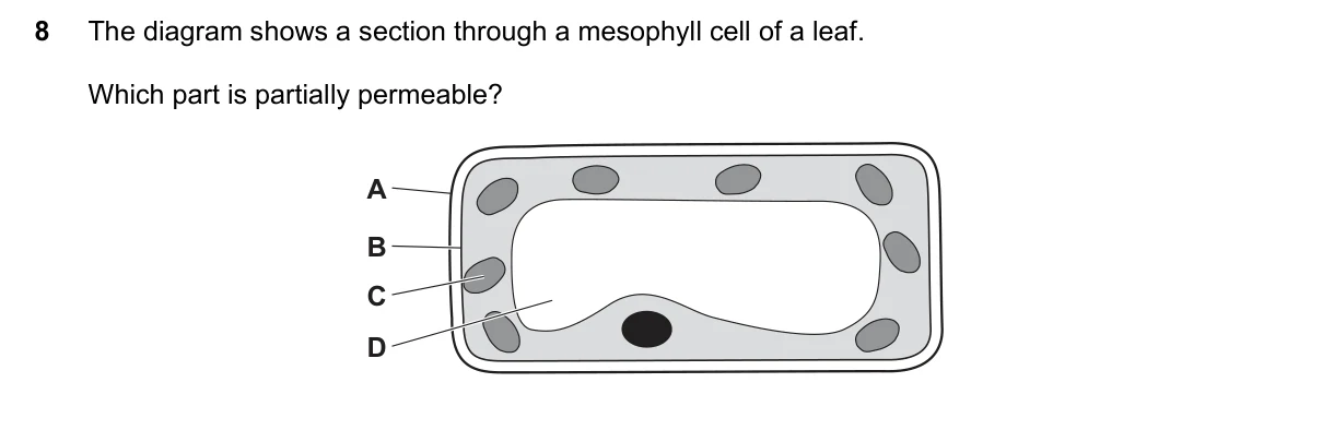 Question 8, June 2022, 0610 Paper 13
