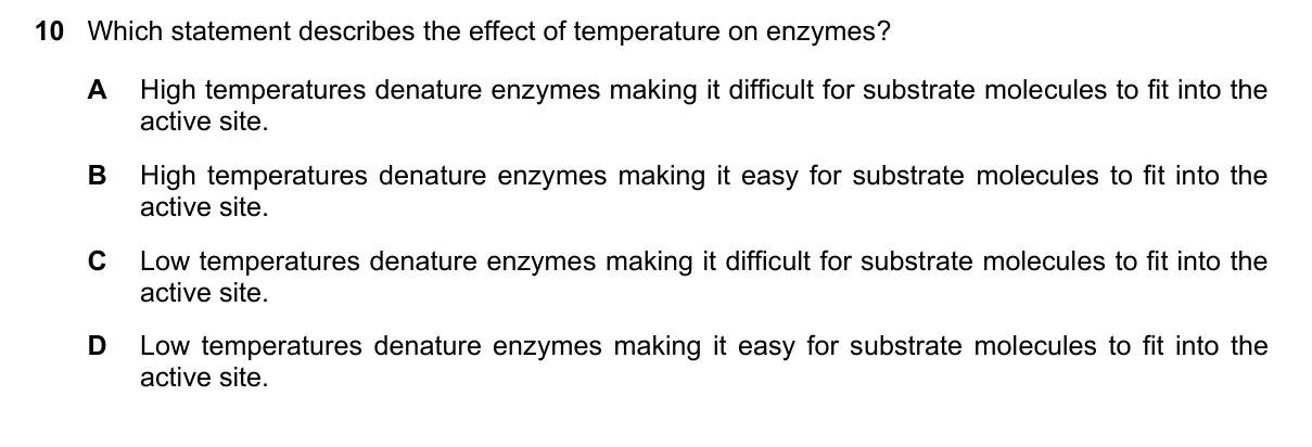 Question 10, June 2022, 0610 Paper 23