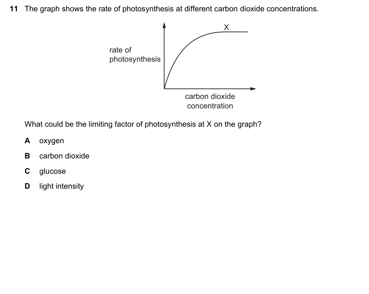 Question 11, June 2022, 0610 Paper 23