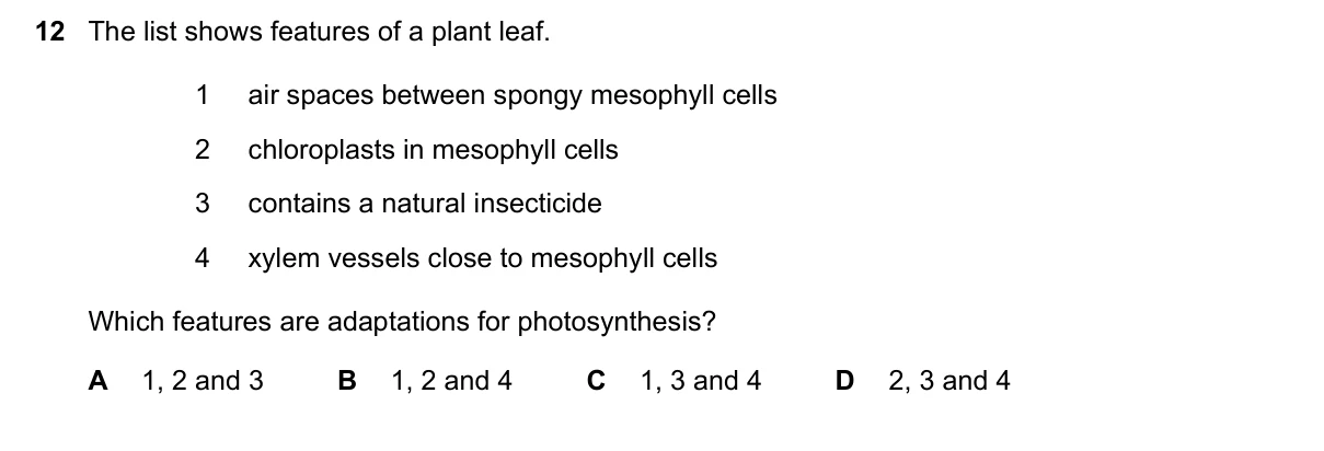 Question 12, June 2022, 0610 Paper 23