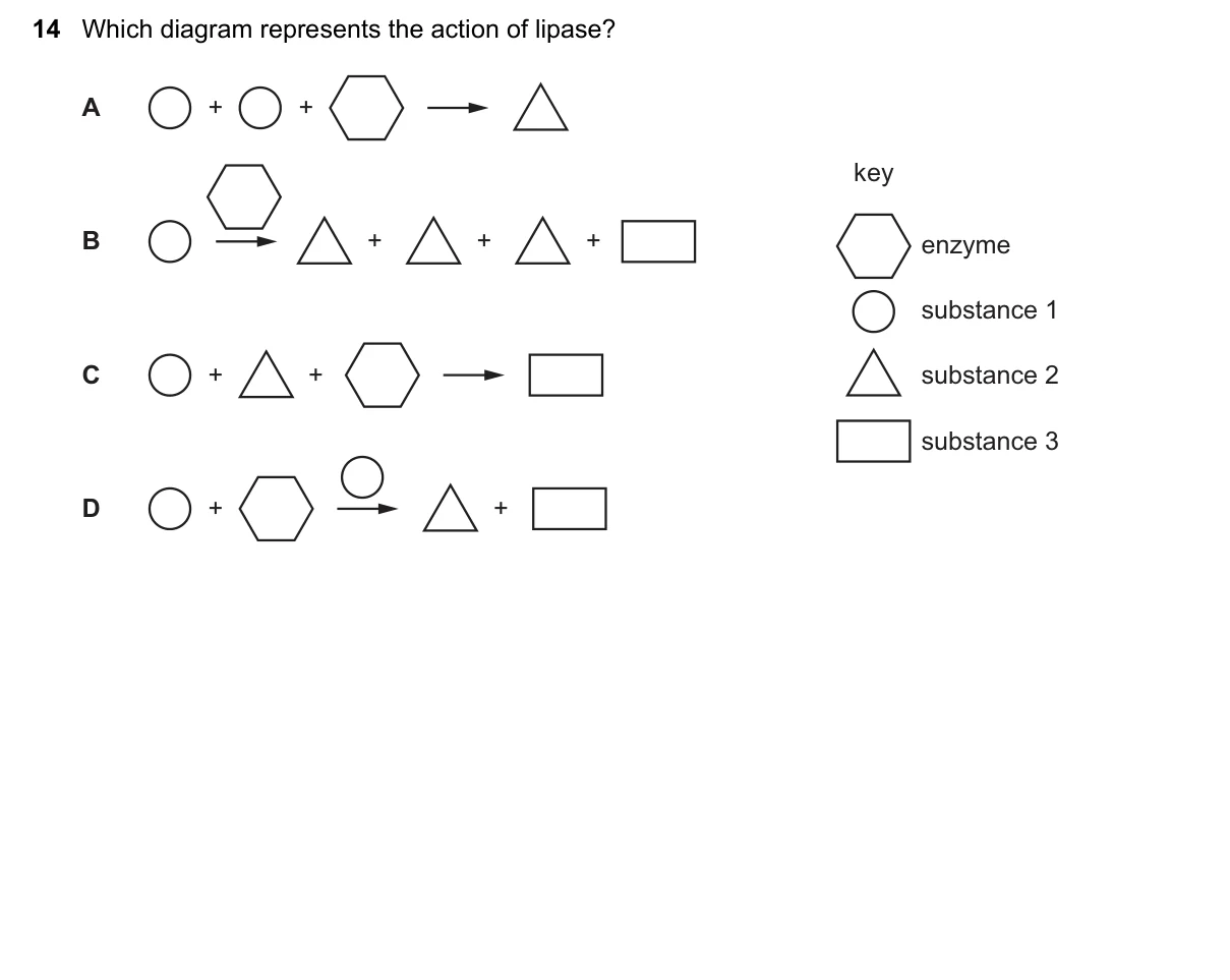 Question 14, June 2022, 0610 Paper 23