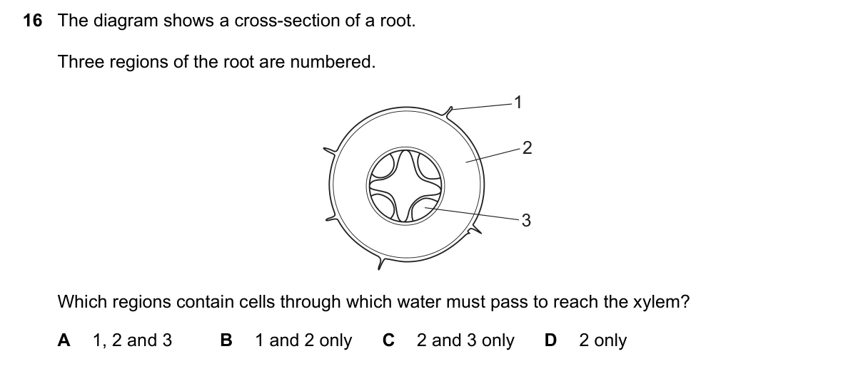 Question 16, June 2022, 0610 Paper 23