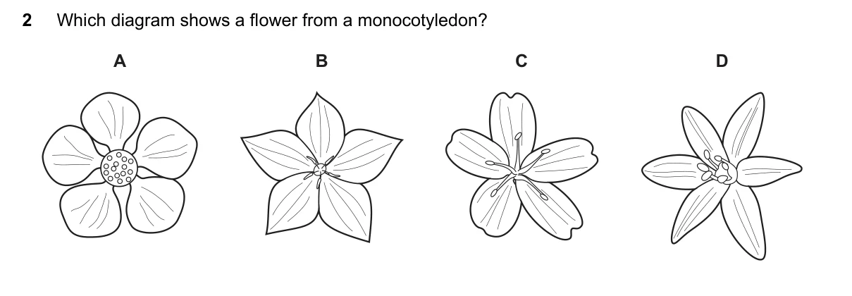Question 2, June 2022, 0610 Paper 23