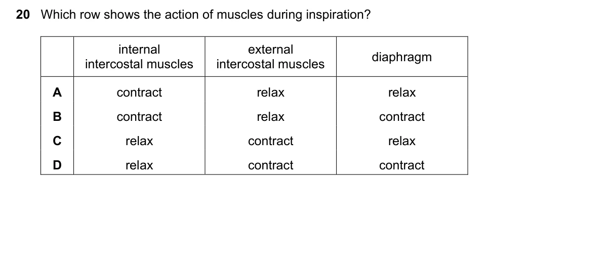 Question 20, June 2022, 0610 Paper 23