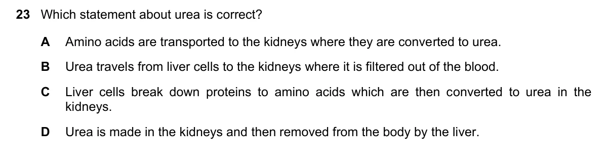 Question 23, June 2022, 0610 Paper 23