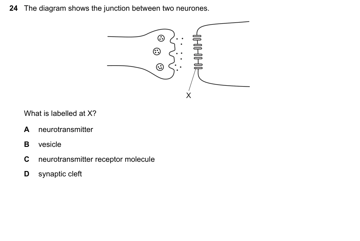 Question 24, June 2022, 0610 Paper 23