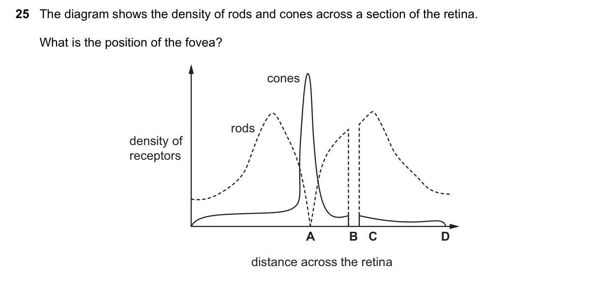 Question 25, June 2022, 0610 Paper 23