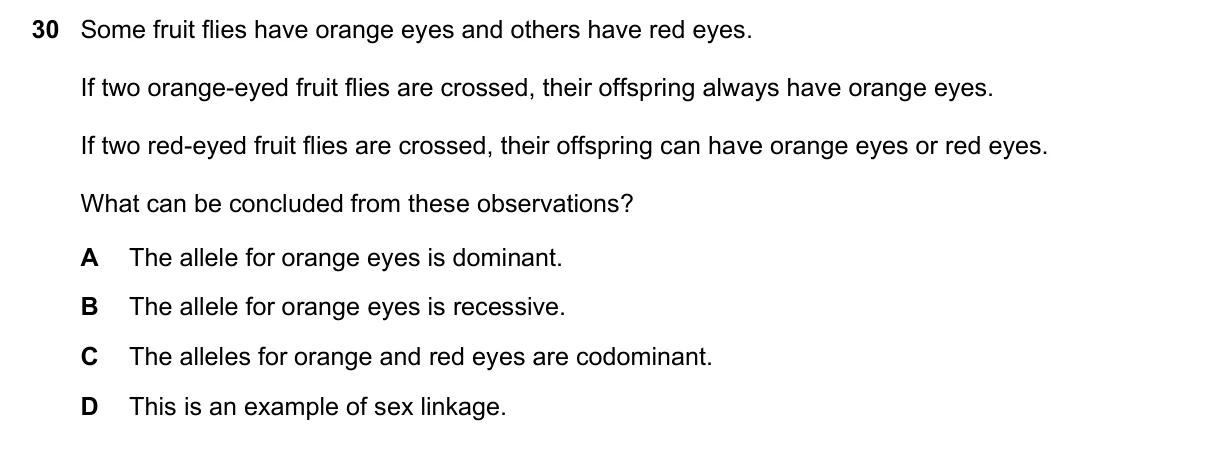 Question 30, June 2022, 0610 Paper 23