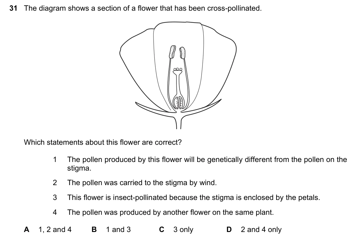 Question 31, June 2022, 0610 Paper 23