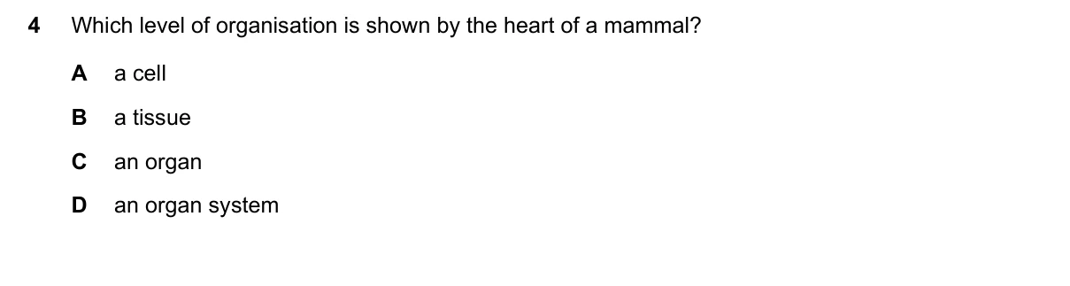 Question 4, June 2022, 0610 Paper 23