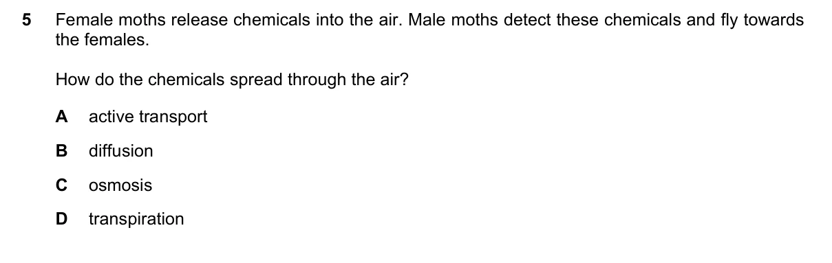 Question 5, June 2022, 0610 Paper 23