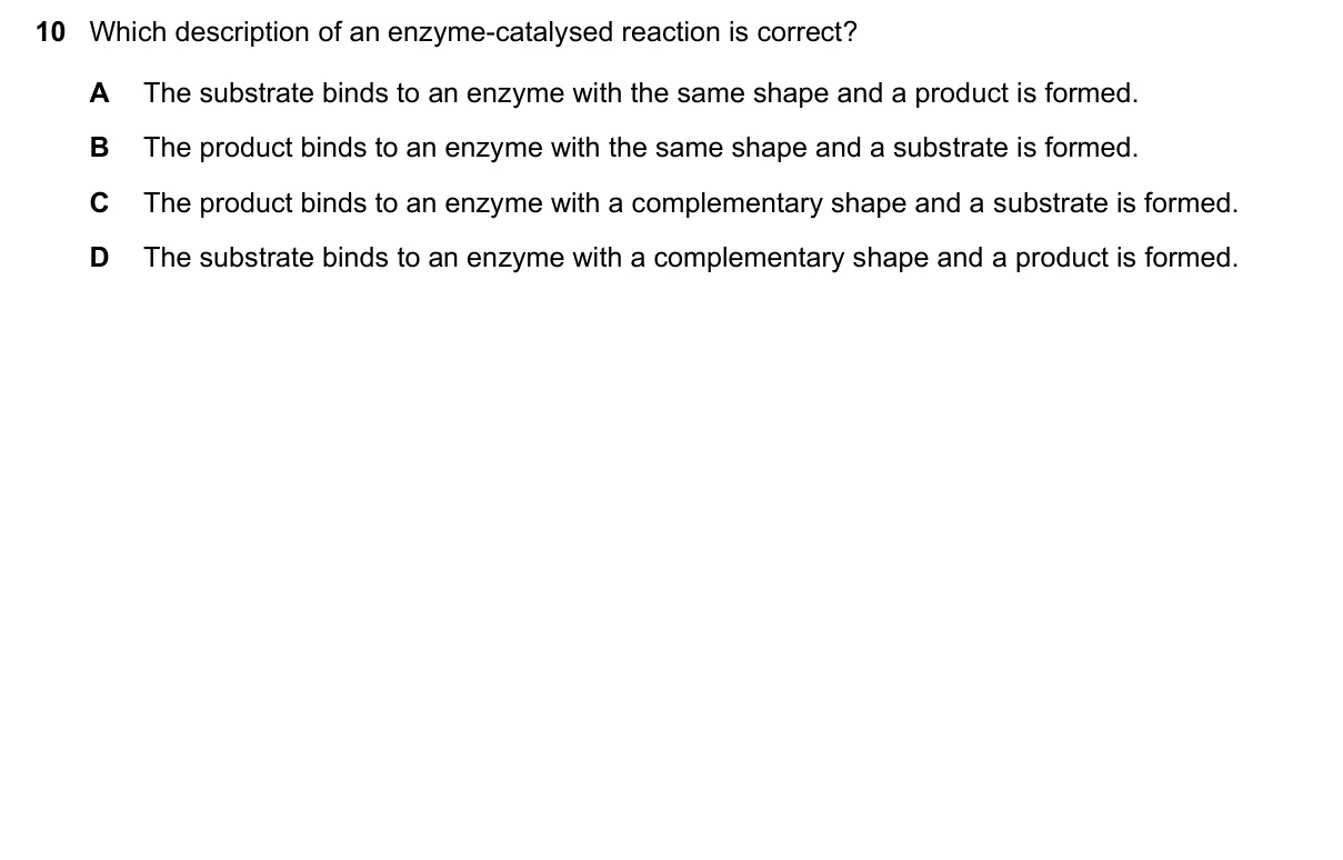 Question 10, November 2022, 0610 Paper 11