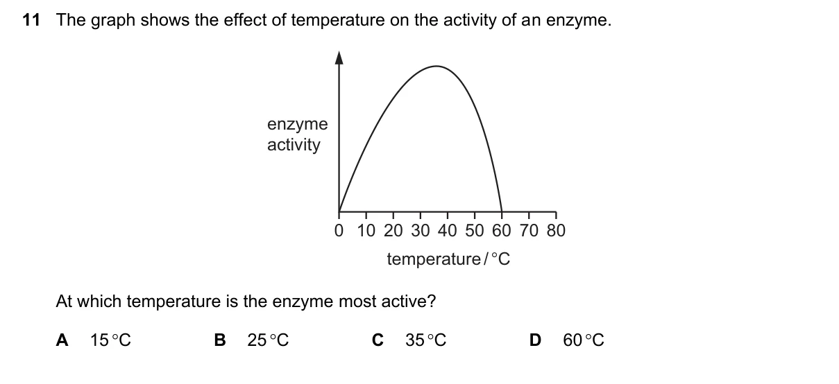 Question 11, November 2022, 0610 Paper 11