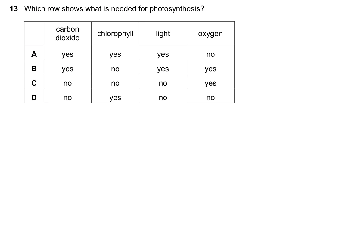 Question 13, November 2022, 0610 Paper 11