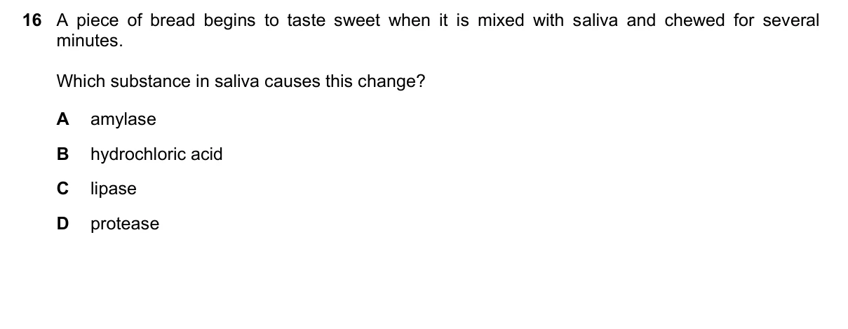 Question 16, November 2022, 0610 Paper 11
