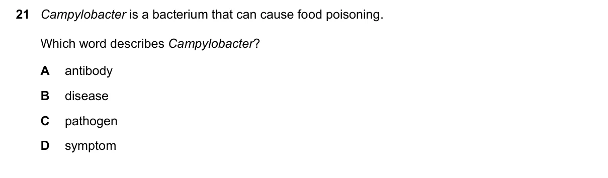 Question 21, November 2022, 0610 Paper 11