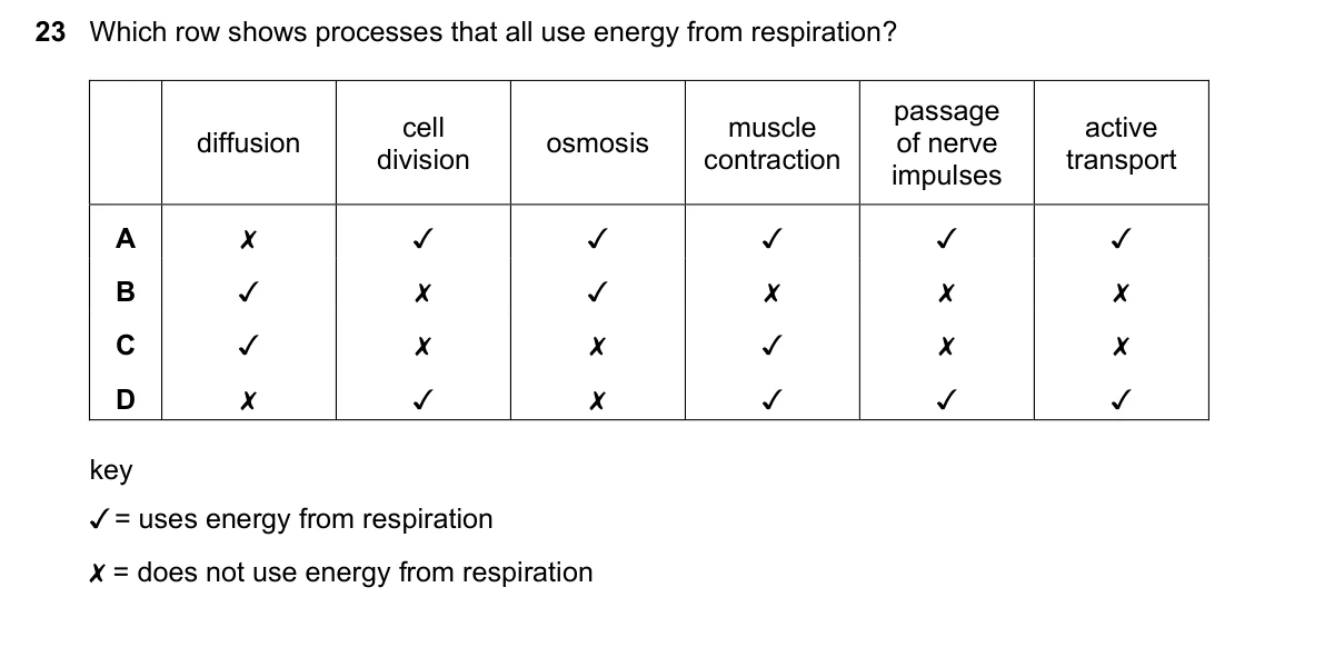 Question 23, November 2022, 0610 Paper 11