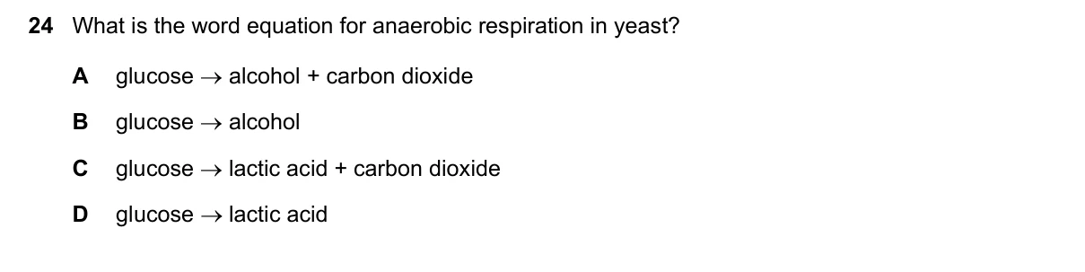 Question 24, November 2022, 0610 Paper 11