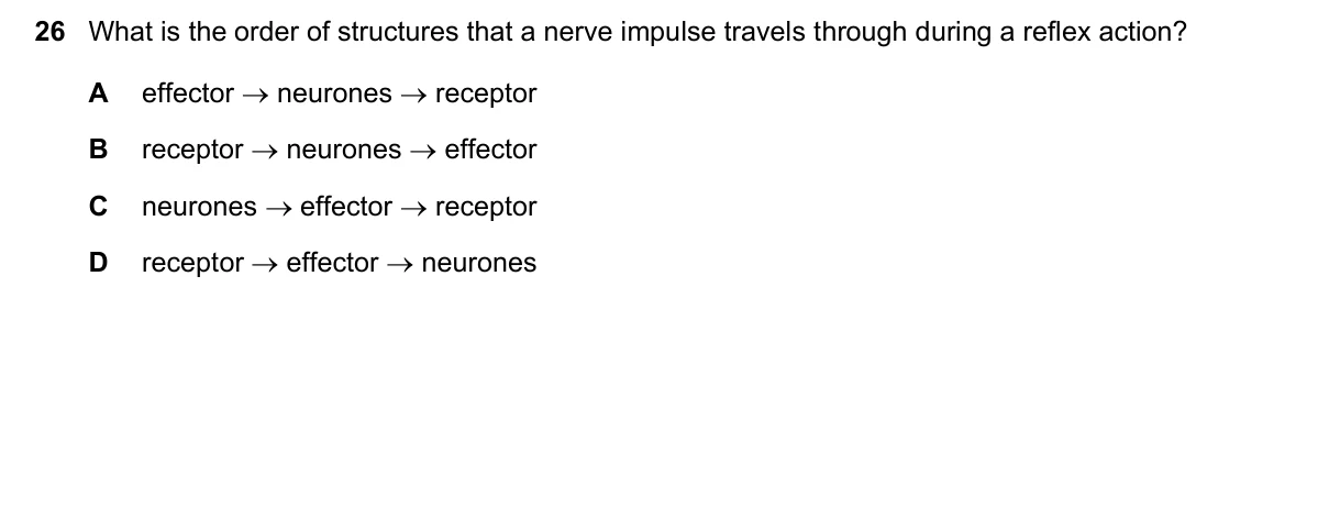 Question 26, November 2022, 0610 Paper 11