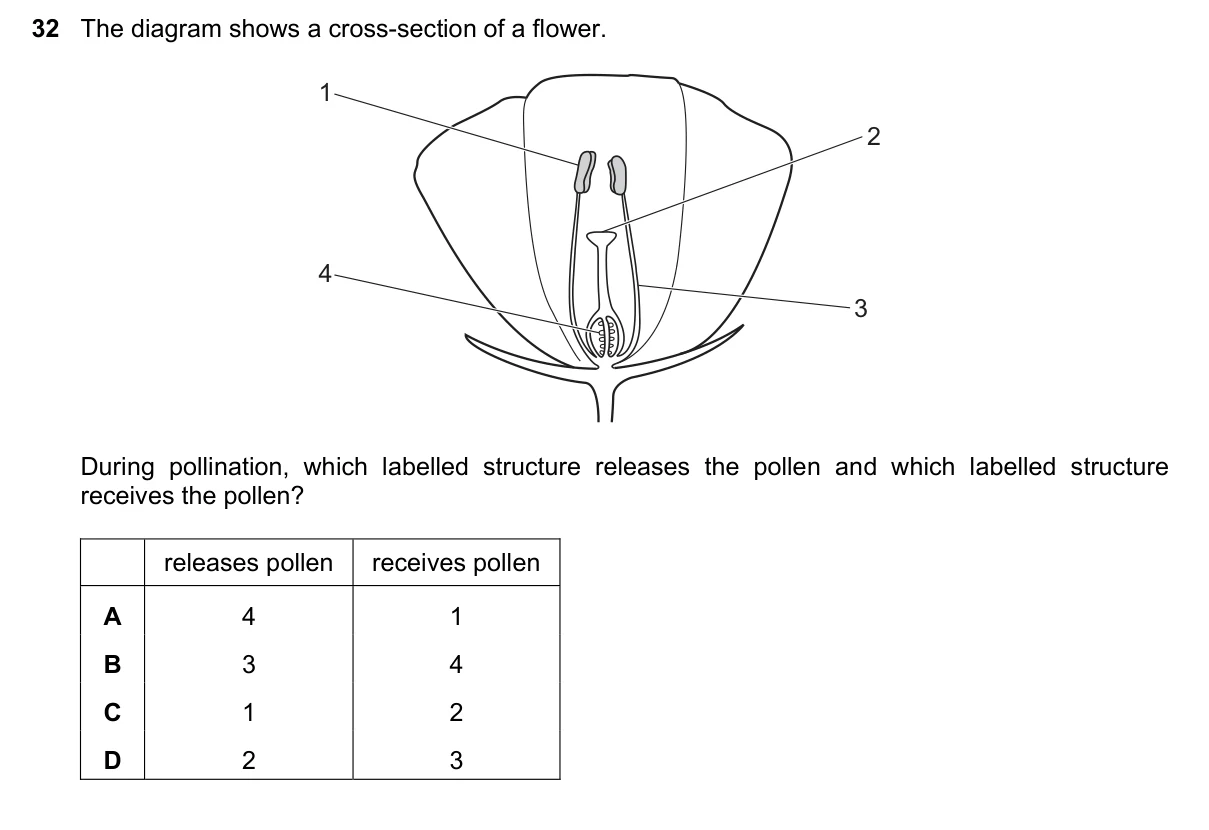 Question 32, November 2022, 0610 Paper 11