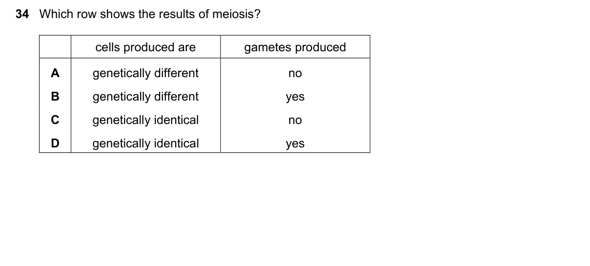 Question 34, November 2022, 0610 Paper 11