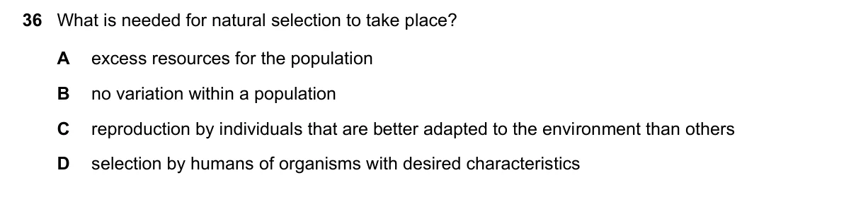Question 36, November 2022, 0610 Paper 11