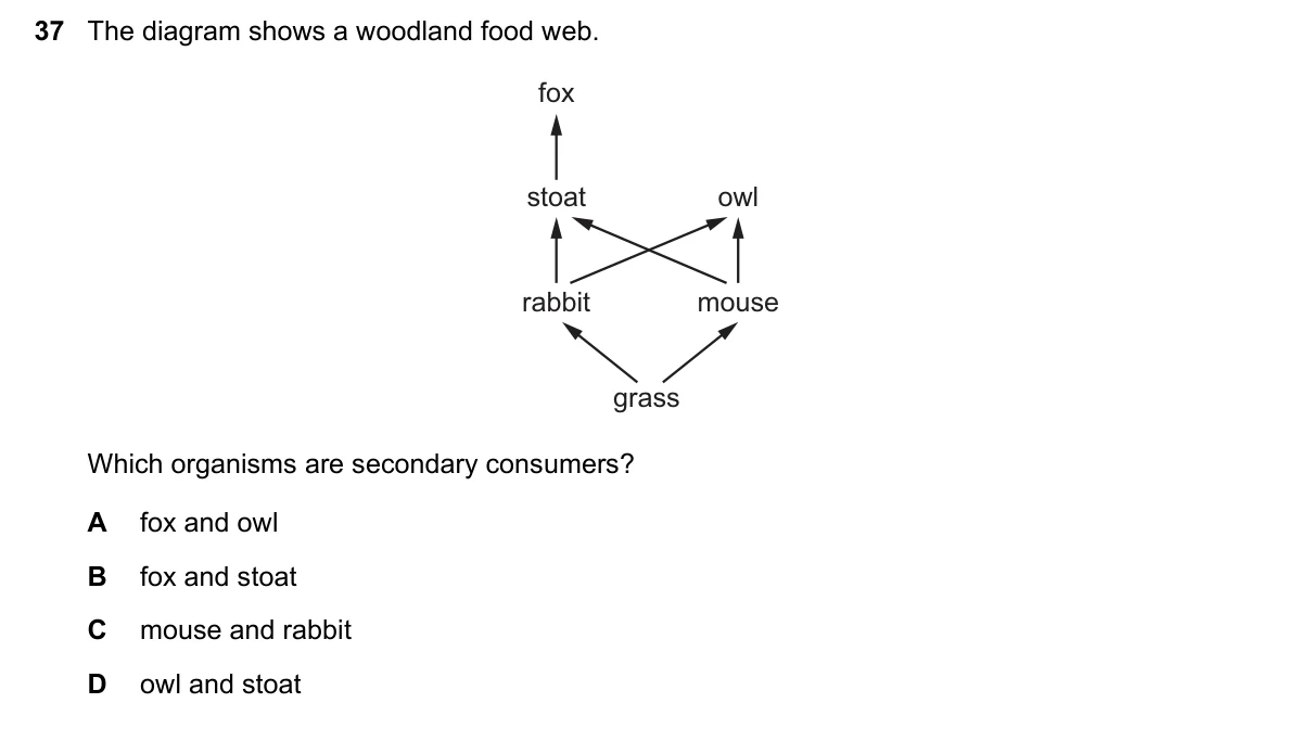 Question 37, November 2022, 0610 Paper 11