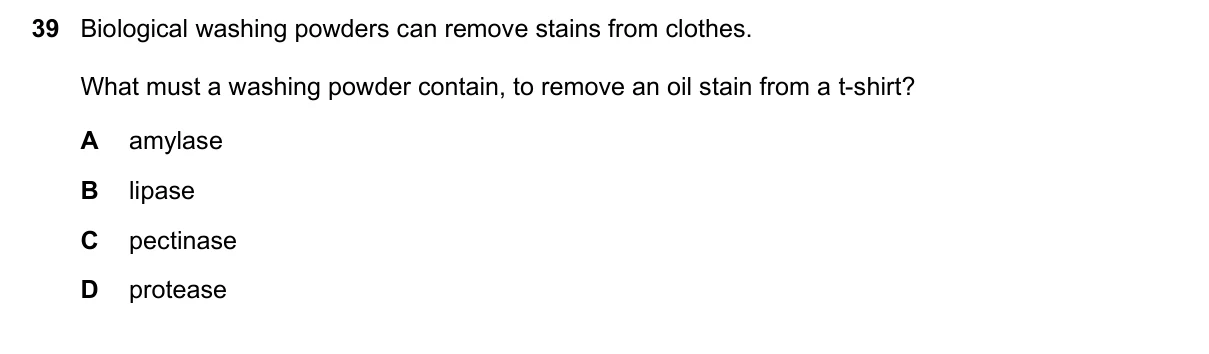 Question 39, November 2022, 0610 Paper 11