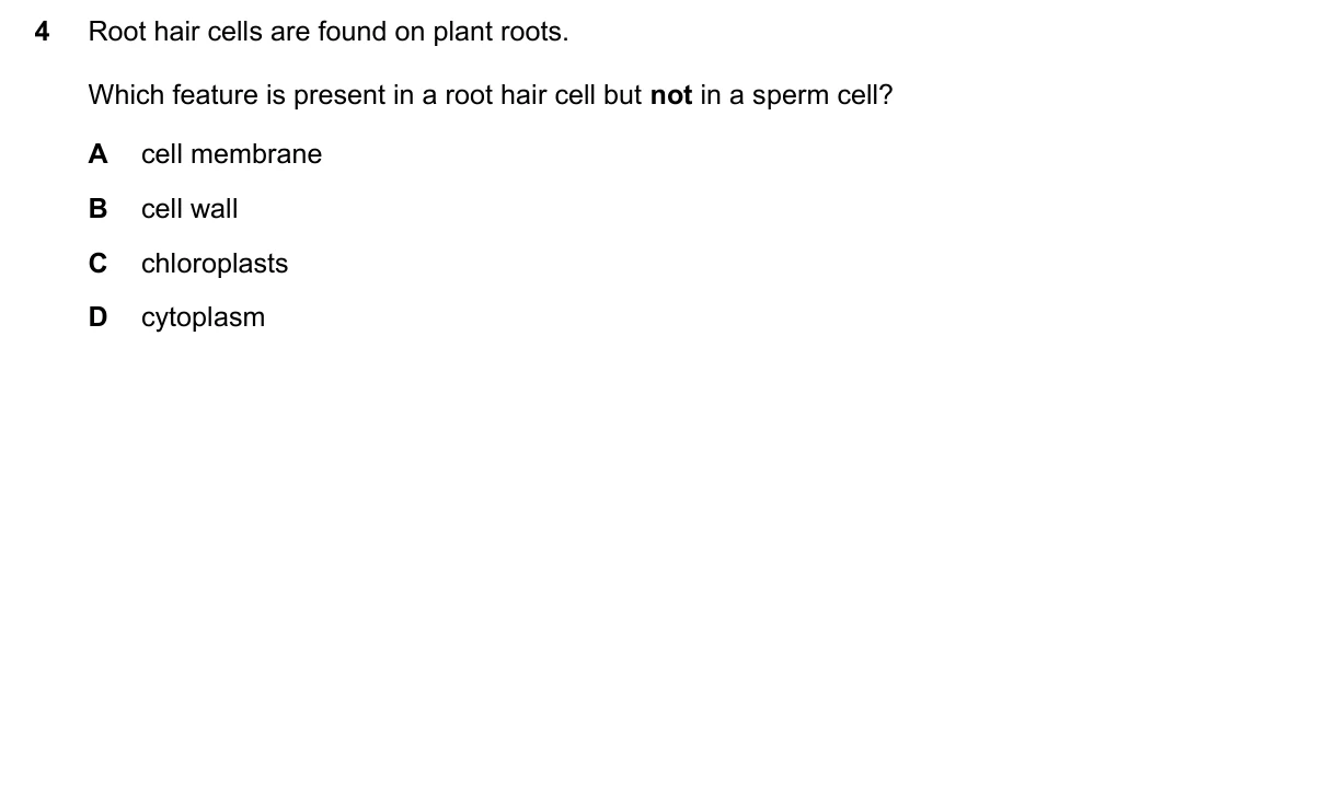 Question 4, November 2022, 0610 Paper 11