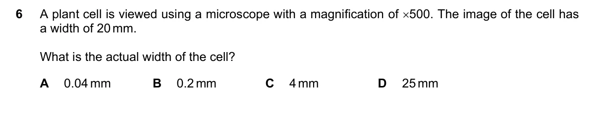 Question 6, November 2022, 0610 Paper 11