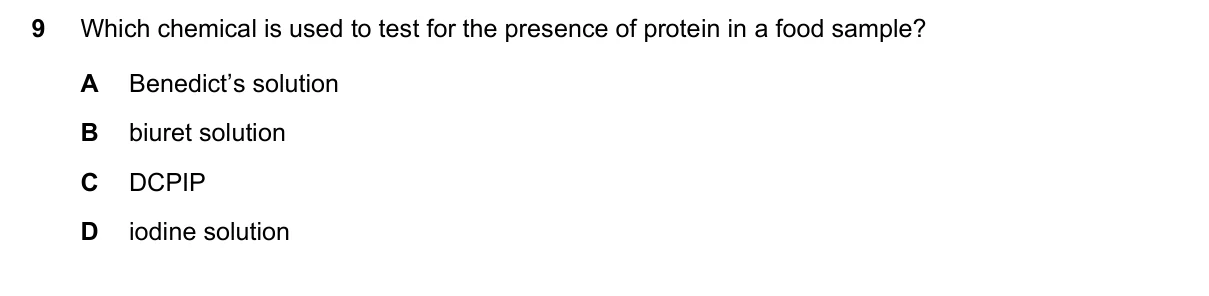 Question 9, November 2022, 0610 Paper 11