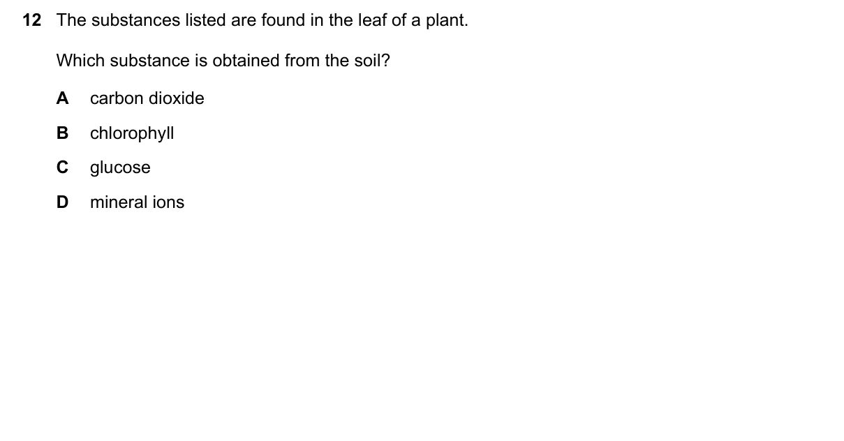 Question 12, November 2022, 0610 Paper 21