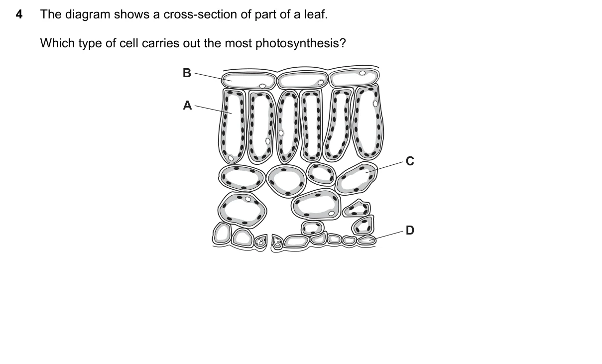 Question 4, November 2022, 0610 Paper 21