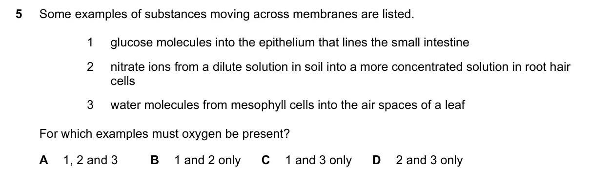 Question 5, November 2022, 0610 Paper 21