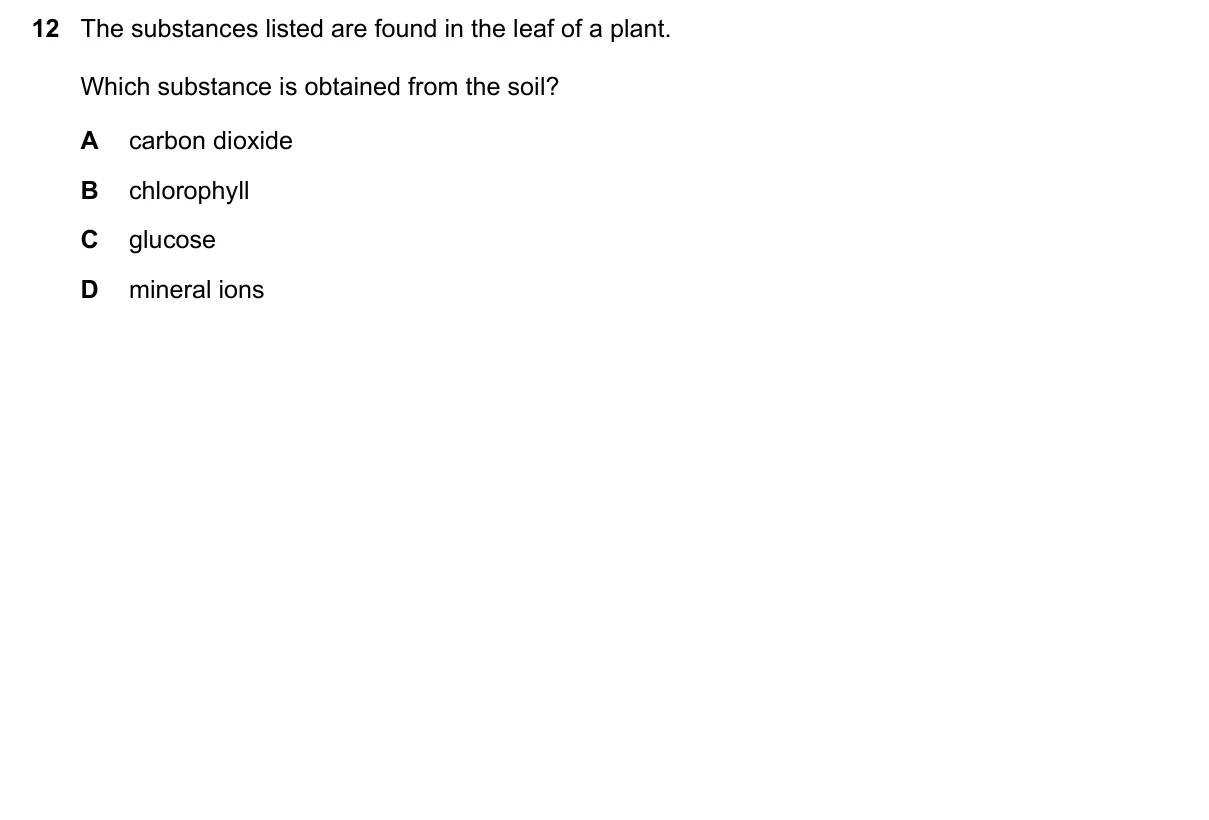 Question 12, November 2022, 0610 Paper 12