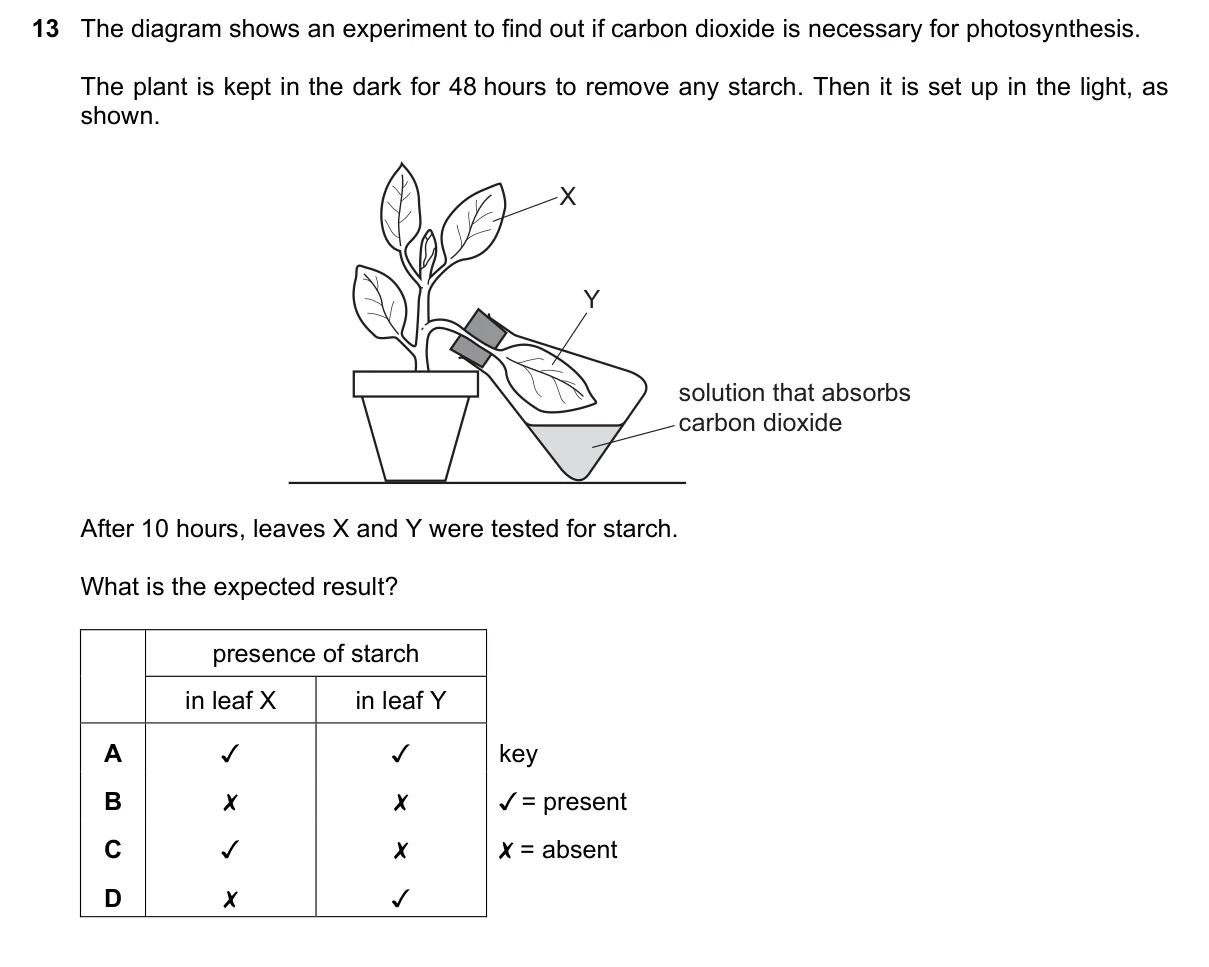 Question 13, November 2022, 0610 Paper 12