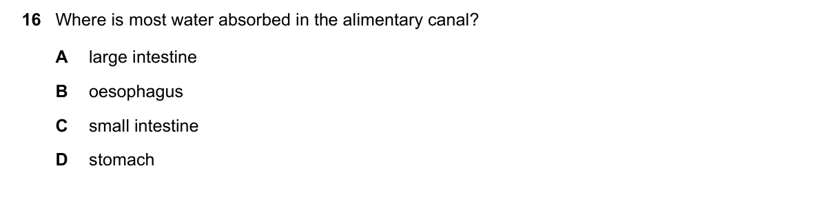 Question 16, November 2022, 0610 Paper 12