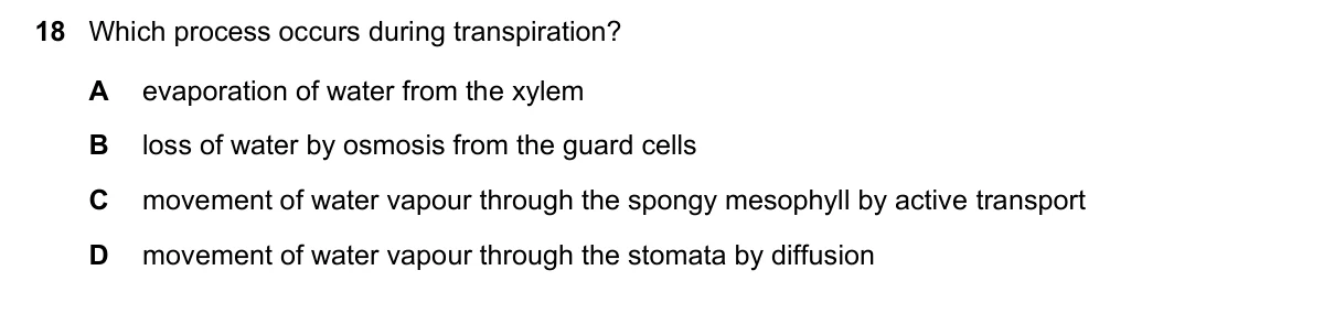 Question 18, November 2022, 0610 Paper 12