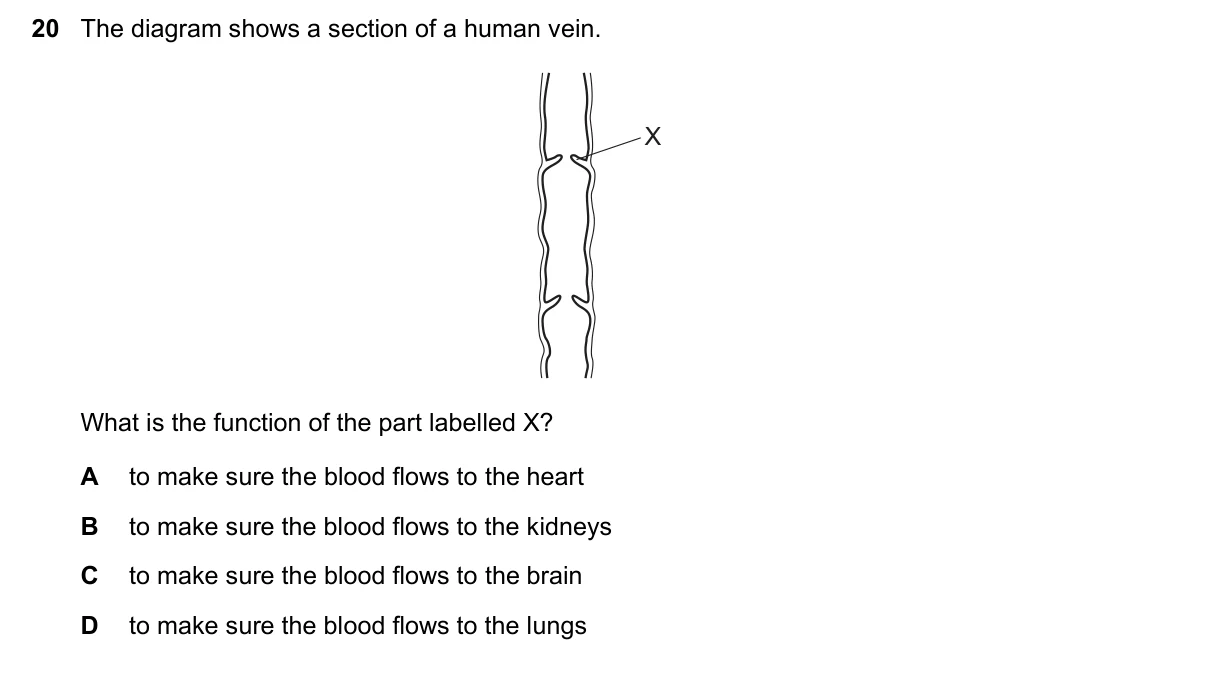 Question 20, November 2022, 0610 Paper 12