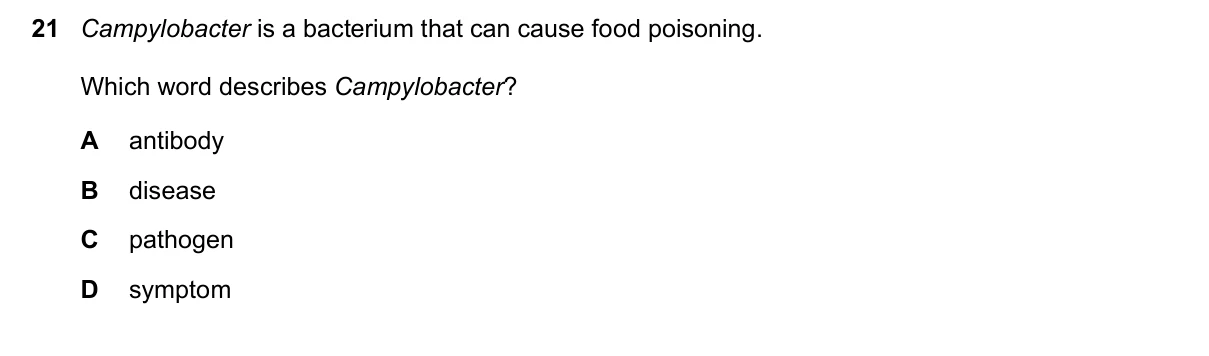 Question 21, November 2022, 0610 Paper 12
