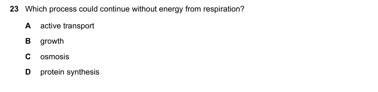 Question 23, November 2022, 0610 Paper 12
