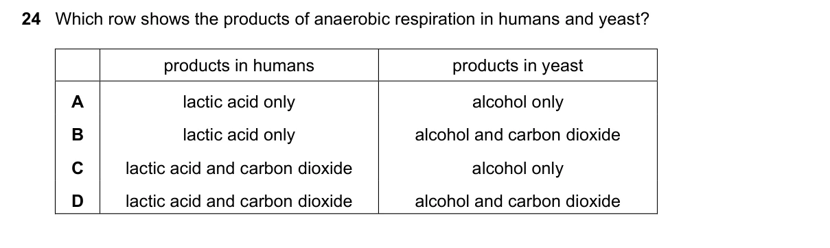 Question 24, November 2022, 0610 Paper 12
