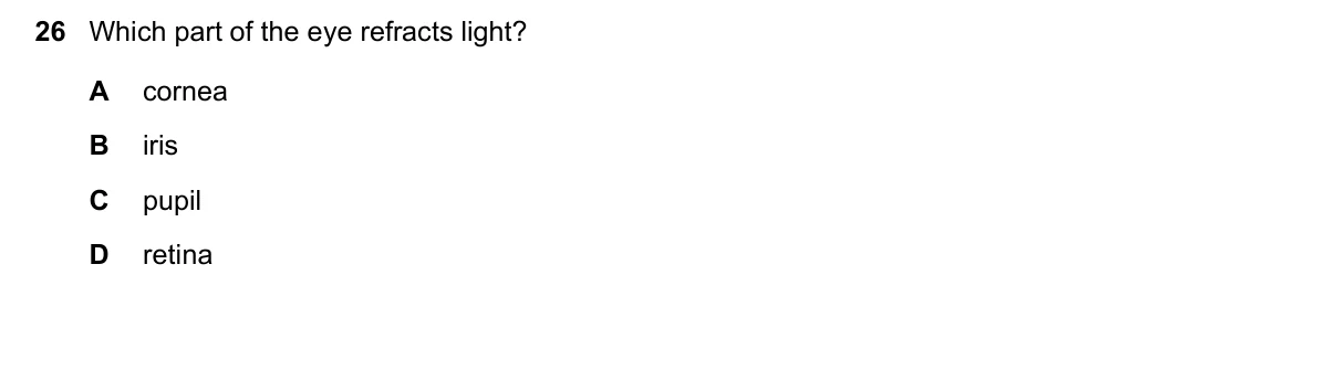 Question 26, November 2022, 0610 Paper 12