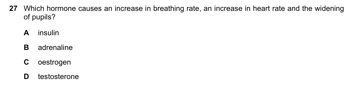 Question 27, November 2022, 0610 Paper 12